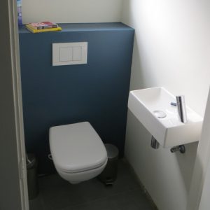 Gerenoveerd hangtoilet duravit Dcode en clou lavabo